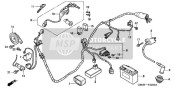 Wire Harness/ Ignition Coil/Battery